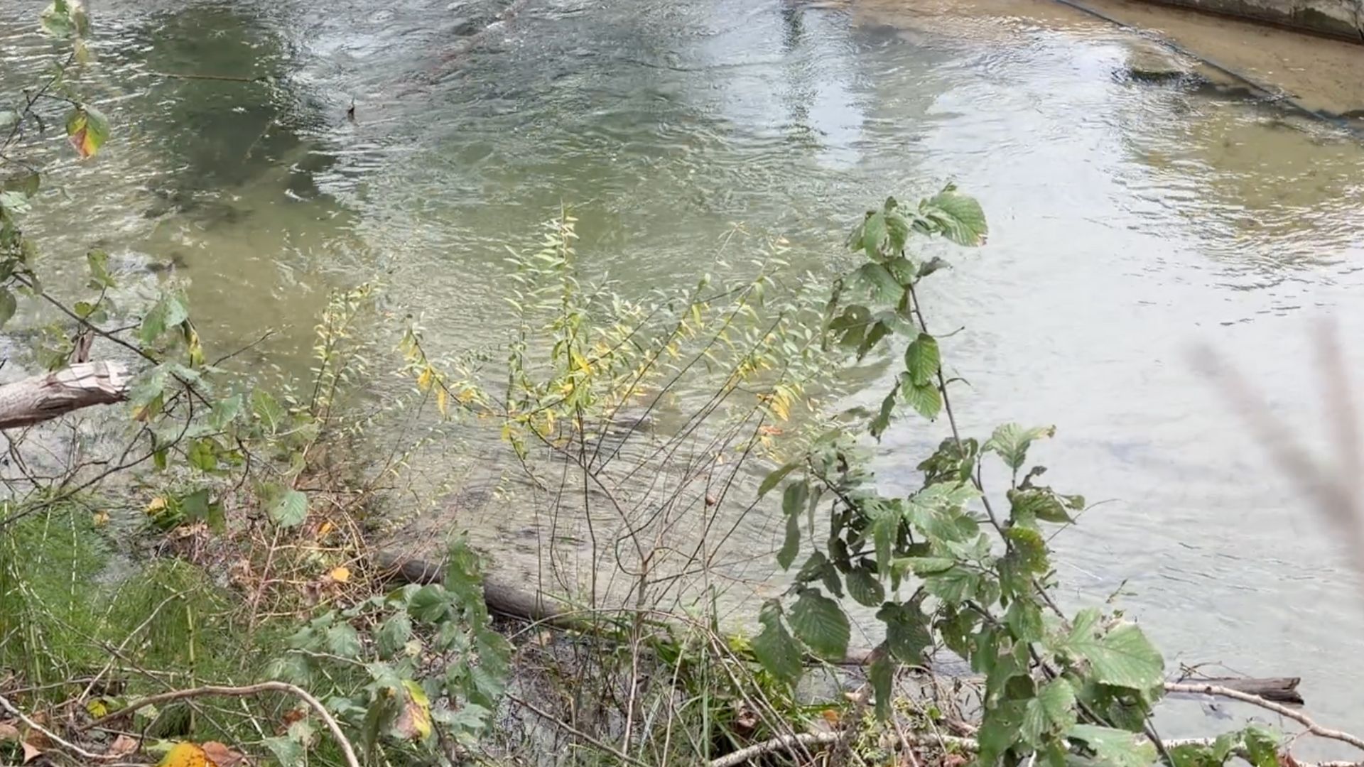 Day 3 - trading Anxiety for Prayer