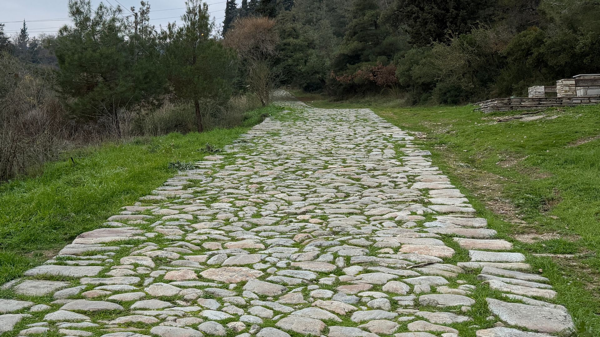 Day 6 - Rejoice in Knowing God