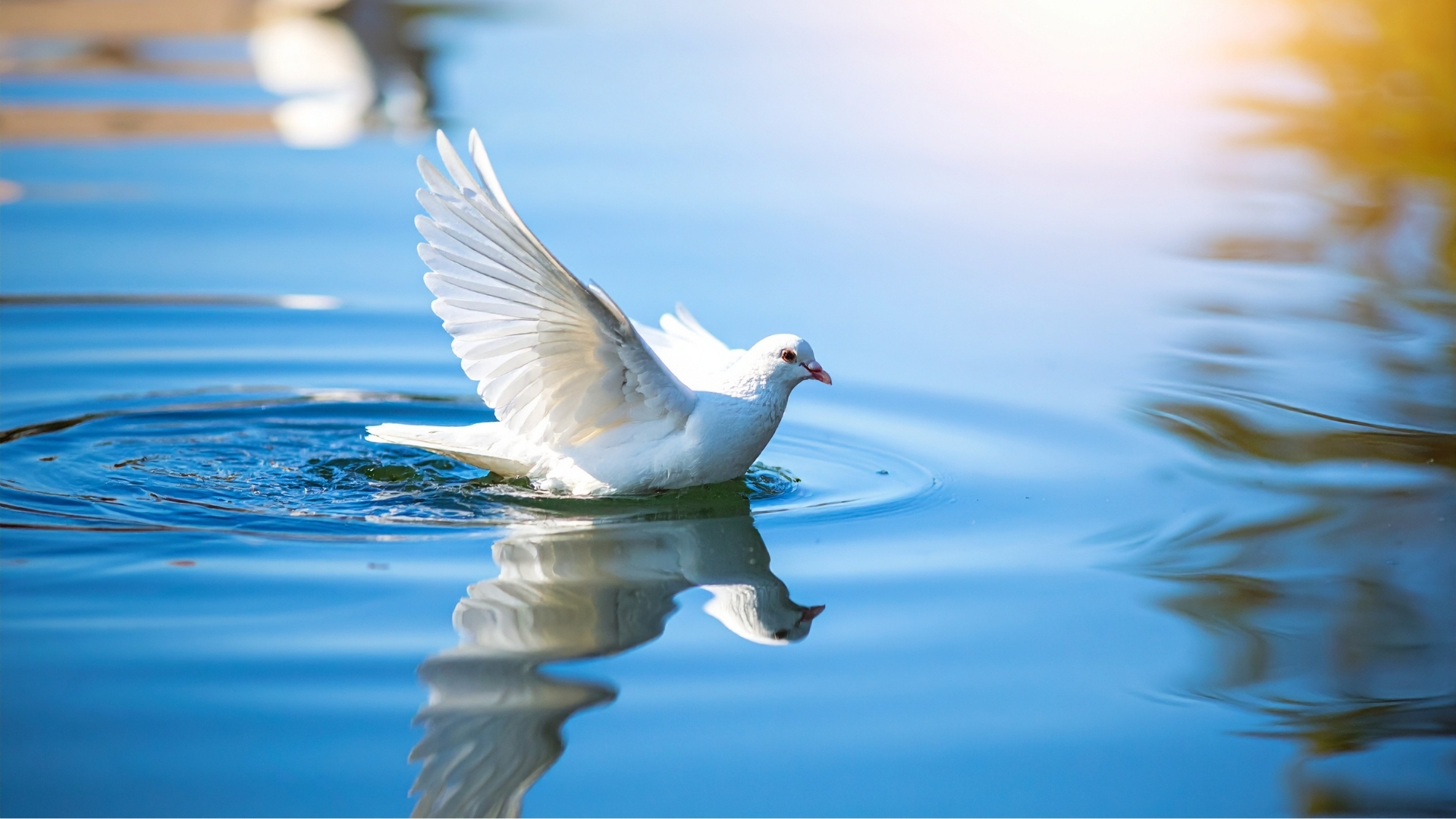 Day 1_ The Holy Spirit is God