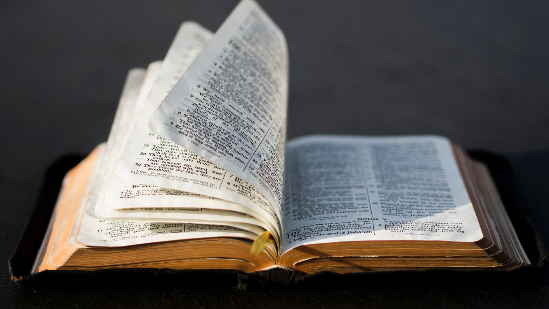 21 Days with Jesus The Holy Spirit (headers)-5